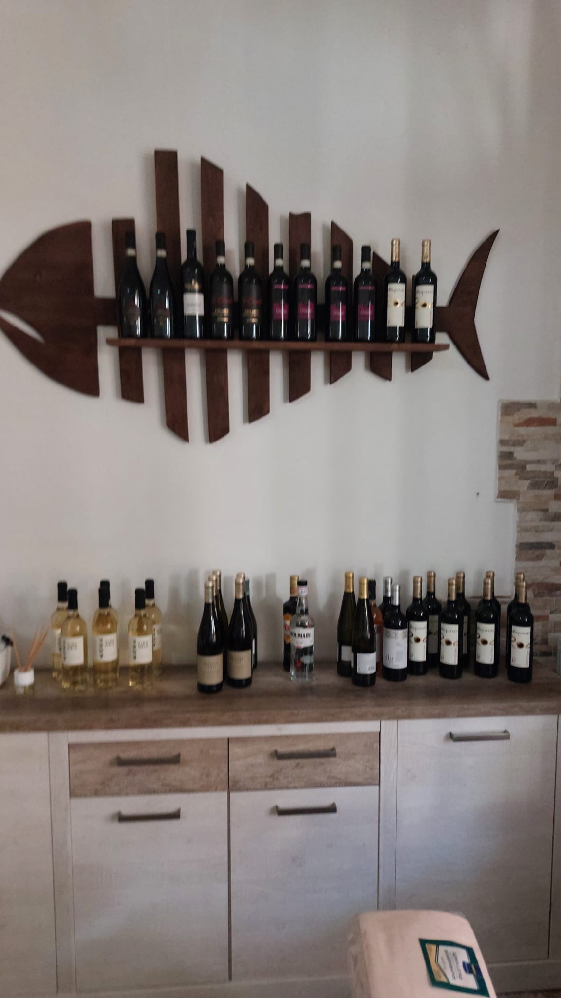 Nuestra selección de vinos